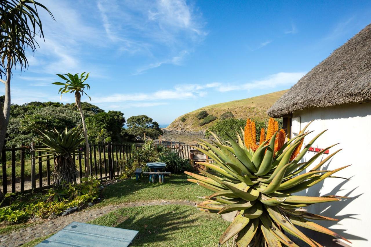 Coffee Shack Adventure Backpackers & Self-Catering Hostel Coffee Bay Exterior foto